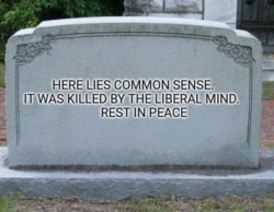 Death of common sense Meme Template