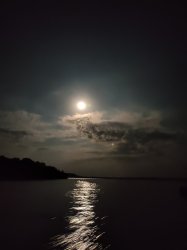 Moon on Water Meme Template