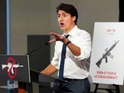 Trudeau gun laws Meme Template