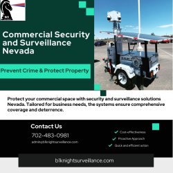 Commercial Security and Surveillance Nevada Meme Template