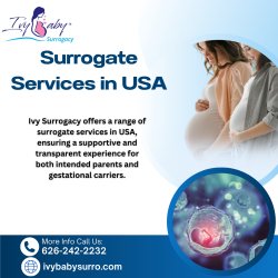 Surrogate Service In USA Meme Template