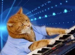Keyboard cat Meme Template