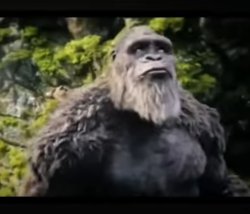I'm cooked (kong version gxk) Meme Template