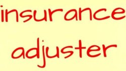 Insurance adjuster tag Meme Template