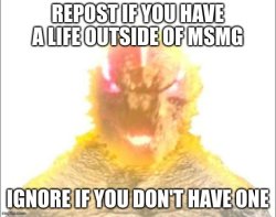 repost if you life Meme Template
