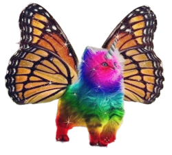 Rainbow Butterfly Unicorn Kitten Meme Template