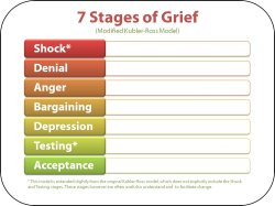 7 stages of Grief Meme Template