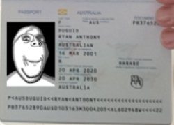 Soyjak passport Meme Template