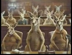 Kangaroo court Meme Template