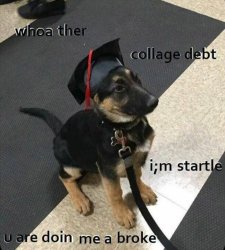 University student decisions Meme Template