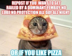 Repost if you like pizza Meme Template
