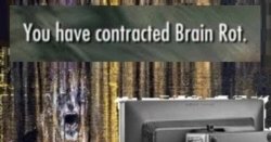 You have contracted brain rot Meme Template