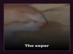 the eeper Meme Template