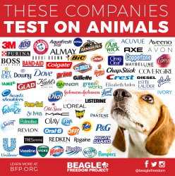 these companies test on animals Meme Template