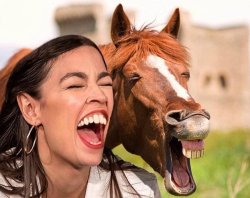 AOC HORSE Meme Template