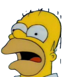 Homer Simpson Crazy Face Meme Template