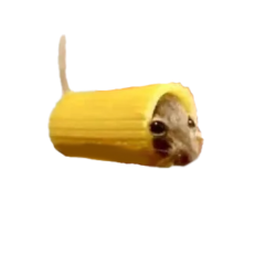 Mouse in pasta Meme Template