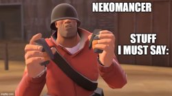 nekomancer temp Meme Template
