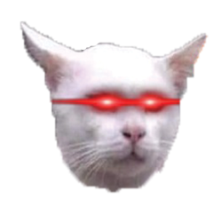 Buffcatonsolana memecoin Meme Template