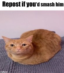 smash Meme Template