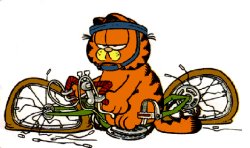 Garfield on a bike Meme Template