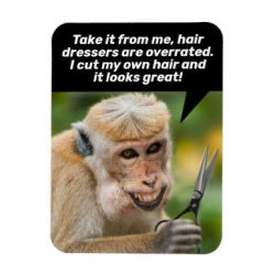Monkey with Funny Haircut Meme Template