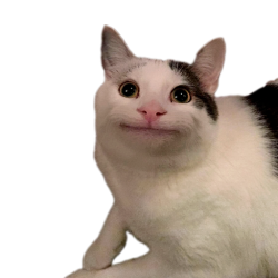 Beluga Cat Meme Template