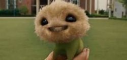 Cj7 smile Meme Template