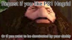 Repost if you like PS1 Hagrid Meme Template