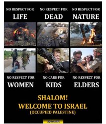 No Respect For Life Dead Nature Women Kids Elders Shalom Meme Template