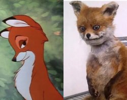 Fox comparison Meme Template