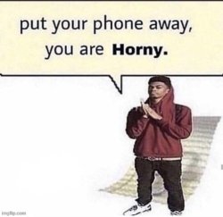 Put your phone away, you are horny Meme Template