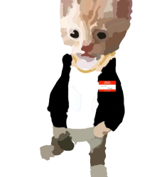 eminem cat Meme Template