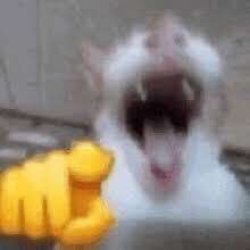 Funny Meme Template