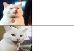 White cat Meme Template