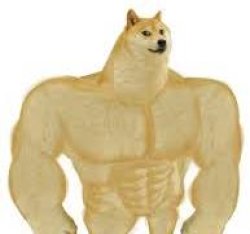 buff doge Meme Template