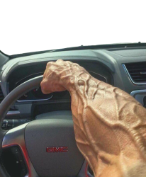 Chad Driver Meme Template