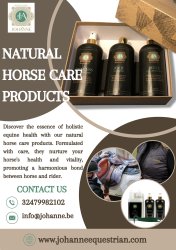 Natural Horse Care Products Meme Template