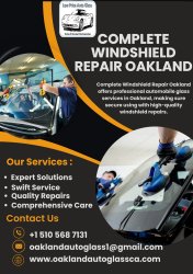 Complete Windshield Repair Oakland Meme Template