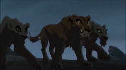 Zira and the outsiders Meme Template