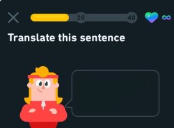 Translate this sentence Meme Template