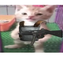 rust cat Meme Template