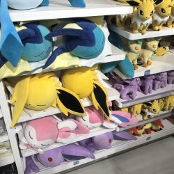 Sleeping Eeevee Meme Template