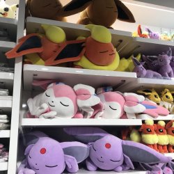 Sleeping Eevee 2 Meme Template