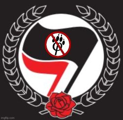 Antifa anti furry flag Meme Template