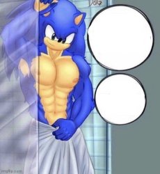 Sonic Shower Meme Template