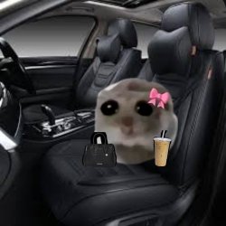 Im just a girl hamster car Meme Template