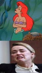 amber heard meme Meme Template