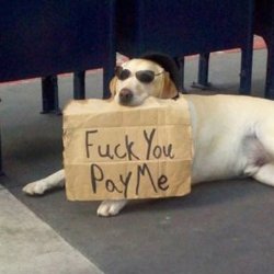 F you pay me Meme Template