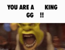 YOU ARE A KING GG !! Meme Template